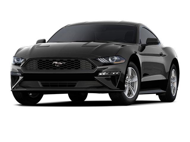2023 Ford Mustang EcoBoost Fastback for sale in Muenster, TX