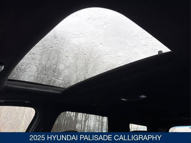2025 Hyundai Palisade Calligraphy