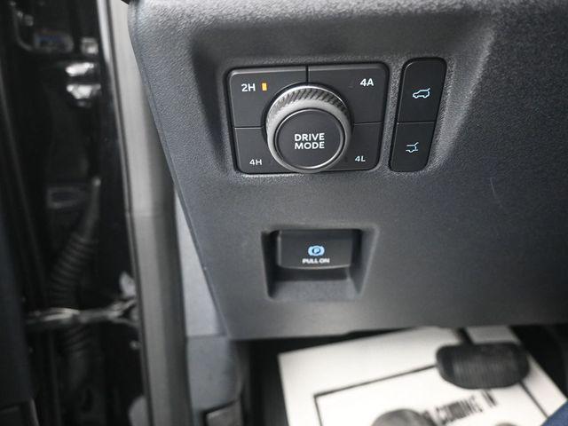 2025 Ford Expedition Active MAX