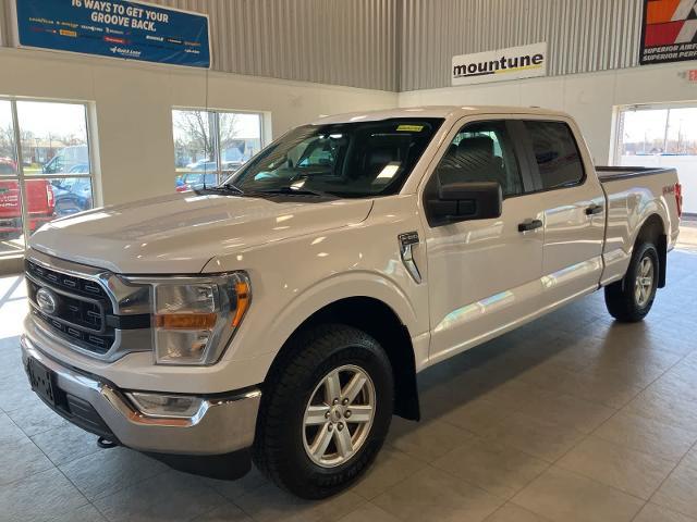 2021 Ford F-150 XLT for sale in Sterling Heights, MI