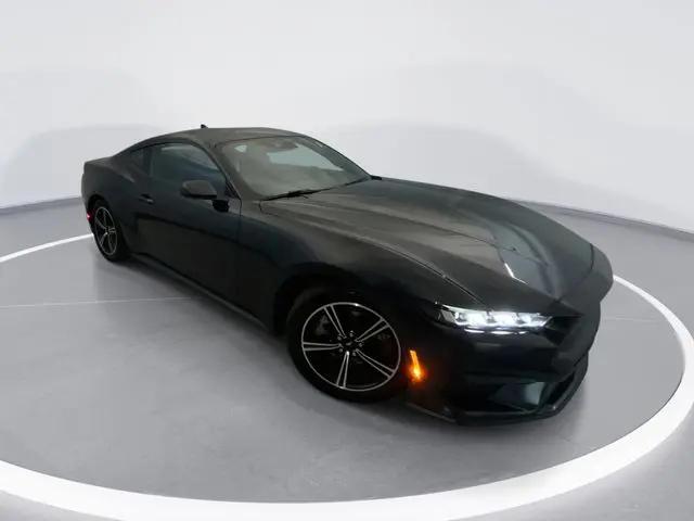 2024 Ford Mustang EcoBoost Fastback for sale in Jacksonville, NC