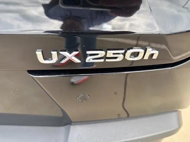 2023 Lexus UX 250h Premium