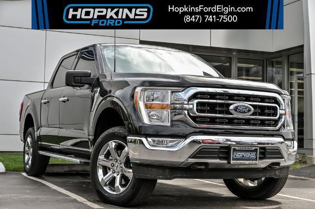 2023 Ford F-150 XLT for sale in Elgin, IL