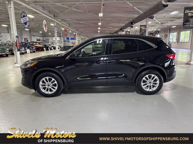 2020 Ford Escape SE 2020 Ford Escape SE