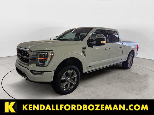 2023 Ford F-150 Platinum for sale in Bozeman, MT