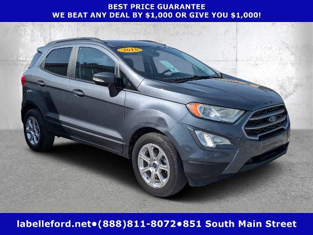 2019 Ford EcoSport SE for sale in FT DENAUD, FL
