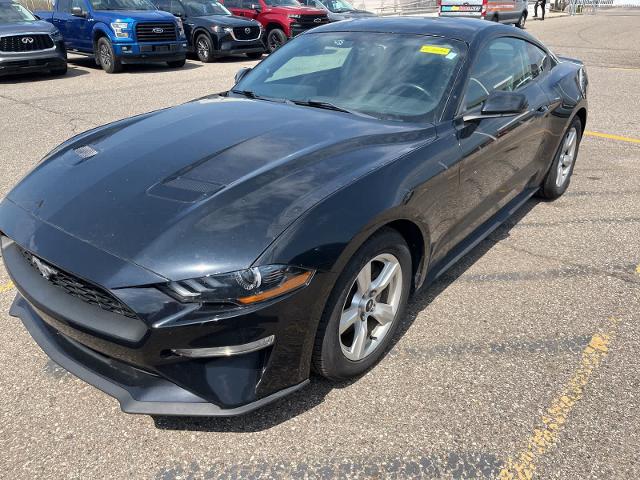 2019 Ford Mustang EcoBoost for sale in Sterling Heights, MI