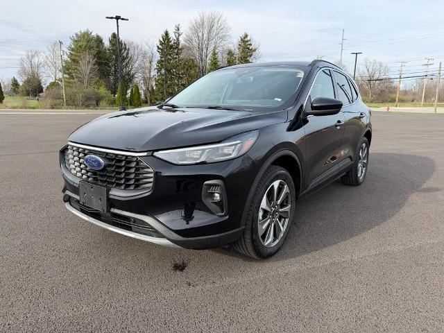 2025 Ford Escape Platinum for sale in Findlay, OH