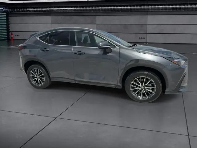2025 Lexus NX Premium