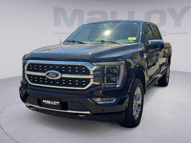 2023 Ford F-150 Platinum for sale in Charlottesville, VA