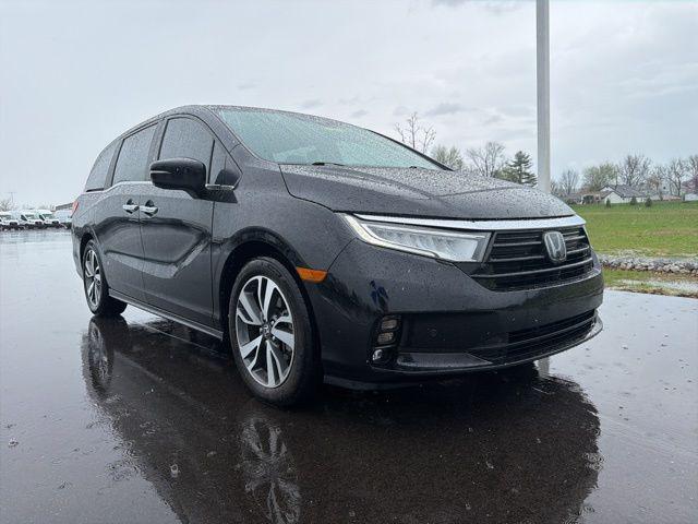 2024 Honda Odyssey Touring for sale in Plainfield, IN