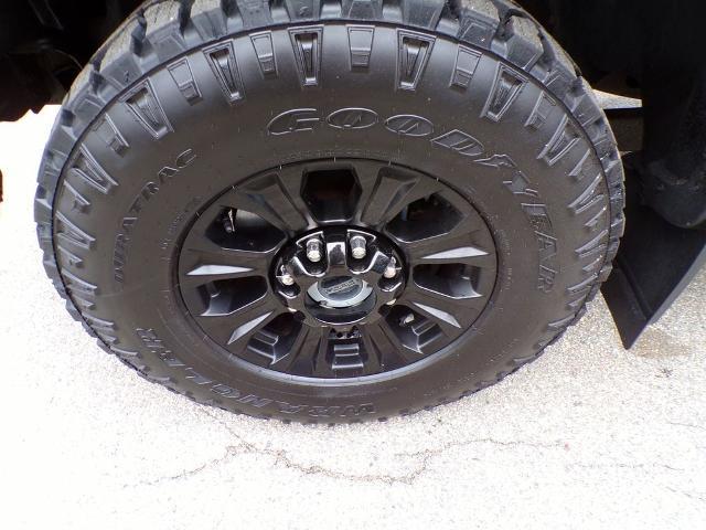 2022 Ford F-250 Platinum