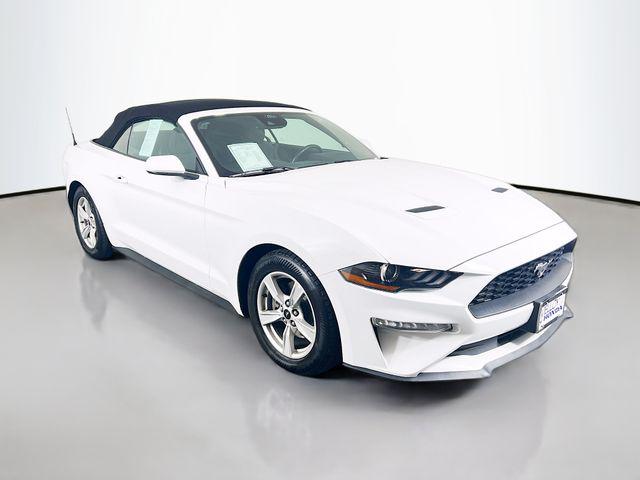 2023 Ford Mustang EcoBoost Convertible for sale in Farmington, NM