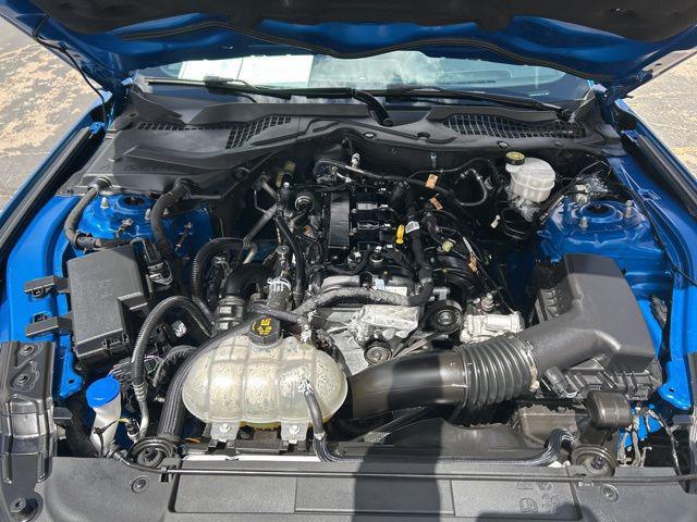 2021 Ford Mustang EcoBoost Fastback