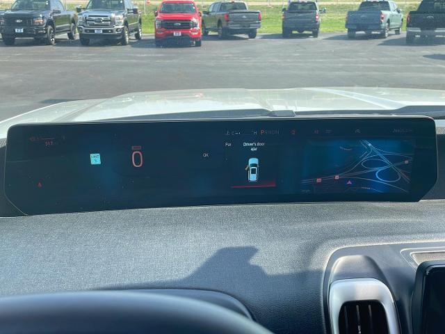 2025 Ford Expedition Active MAX