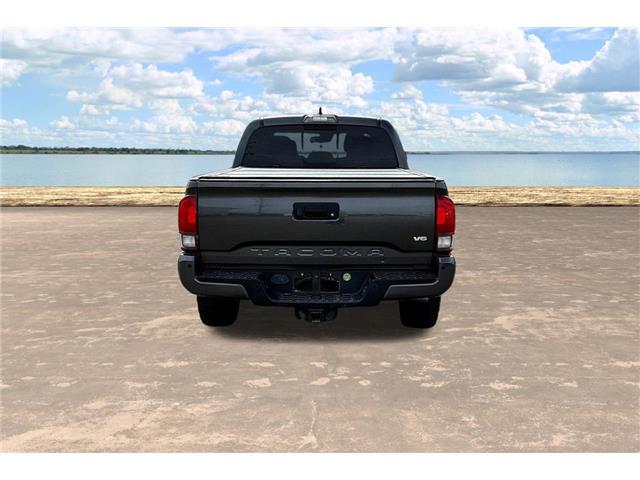 2019 Toyota Tacoma TRD Off Road