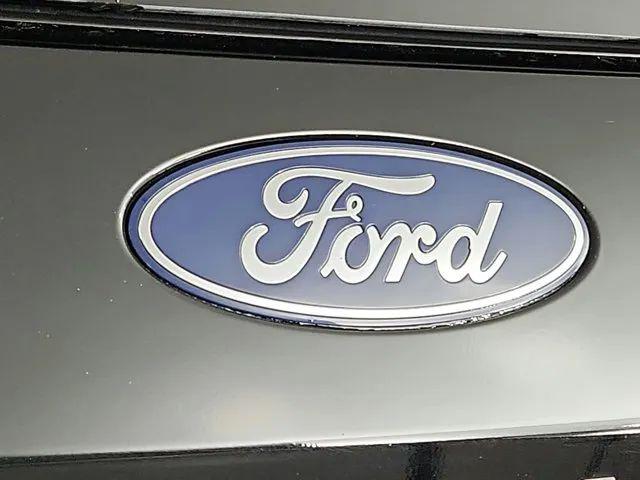 2025 Ford Expedition Active MAX