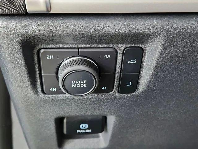 2025 Ford Expedition Active MAX