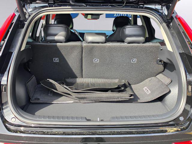 2025 Kia Niro EV Wind