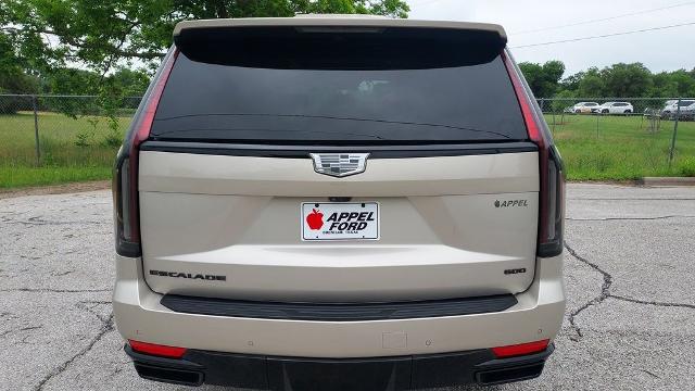 2024 Cadillac Escalade 4WD Sport Platinum