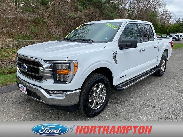 2023 Ford F-150 XLT for sale in Northampton, MA