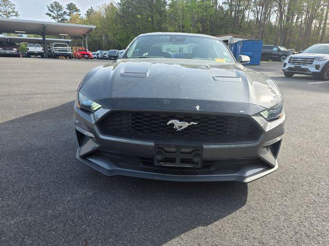 2023 Ford Mustang EcoBoost Fastback