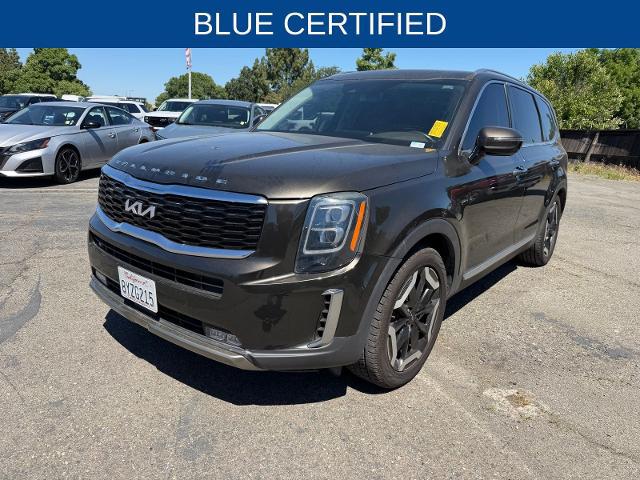 2022 Kia Telluride SX for sale in Dixon, CA