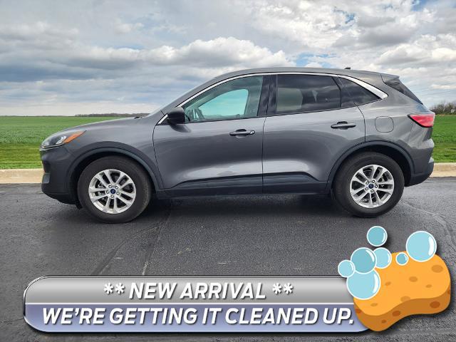 2022 Ford Escape SE for sale in Watseka, IL