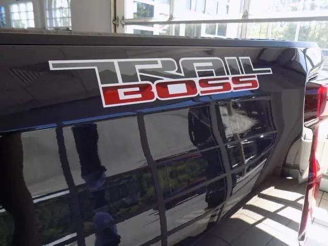2023 Chevrolet Silverado 1500 4WD Crew Cab Short Bed Custom Trail Boss