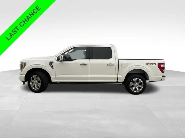 2021 Ford F-150 Platinum