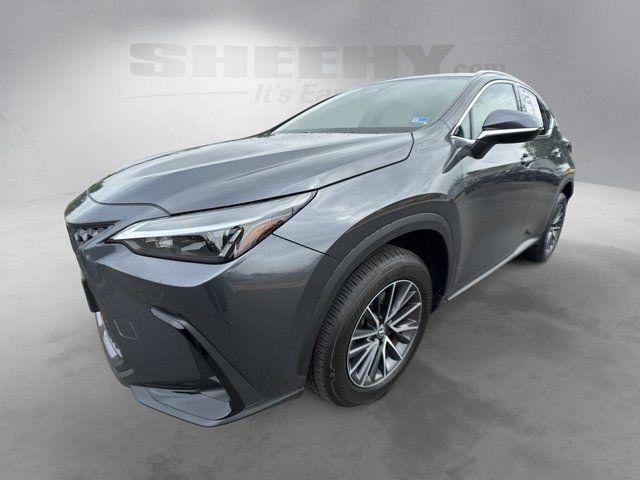 2025 Lexus NX 350 Premium