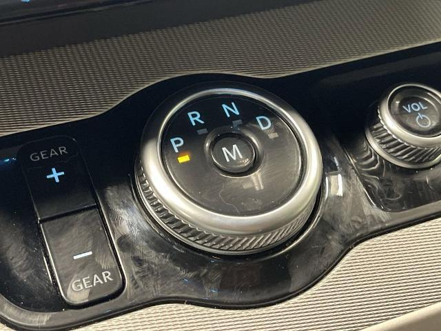 2025 Ford Expedition Active MAX