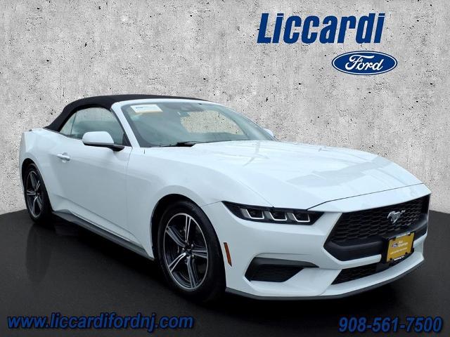 2025 Ford Mustang EcoBoost Premium Convertible for sale in Watchung, NJ