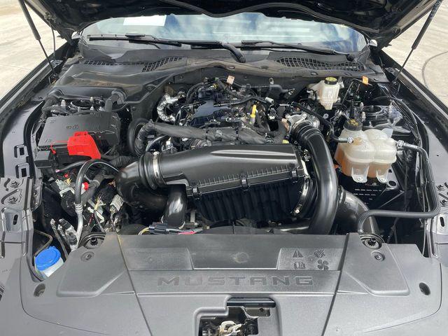 2024 Ford Mustang EcoBoost Fastback