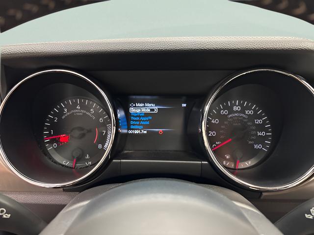2015 Ford Mustang GT 50 Years Limited Edition