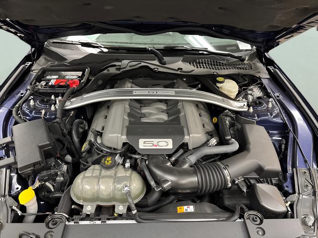 2015 Ford Mustang GT 50 Years Limited Edition