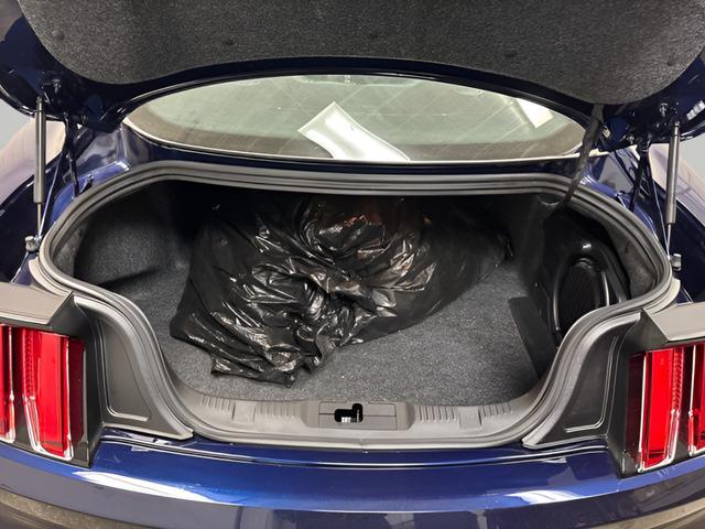 2015 Ford Mustang GT 50 Years Limited Edition