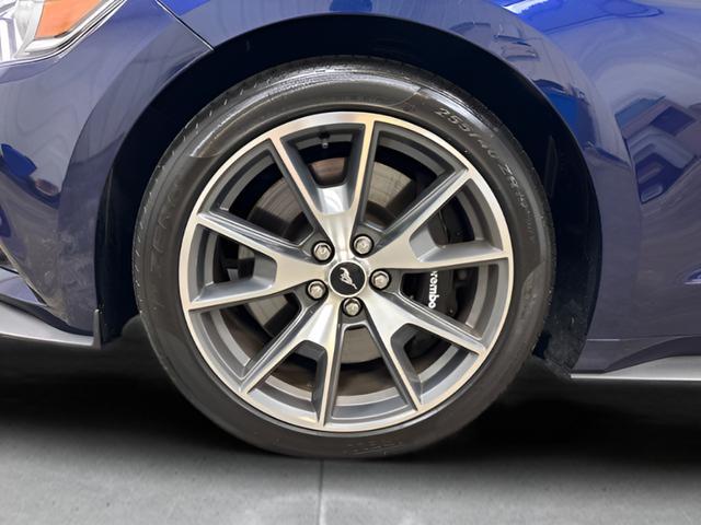 2015 Ford Mustang GT 50 Years Limited Edition