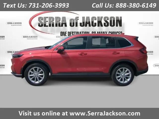 2024 Honda CR-V EX AWD for sale in Jackson, TN