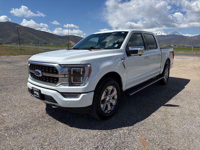 2023 Ford F-150 Platinum