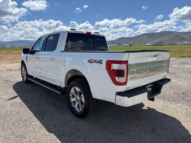 2023 Ford F-150 Platinum