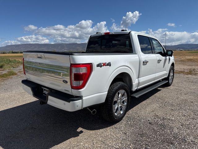 2023 Ford F-150 Platinum