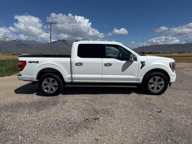 2023 Ford F-150 Platinum