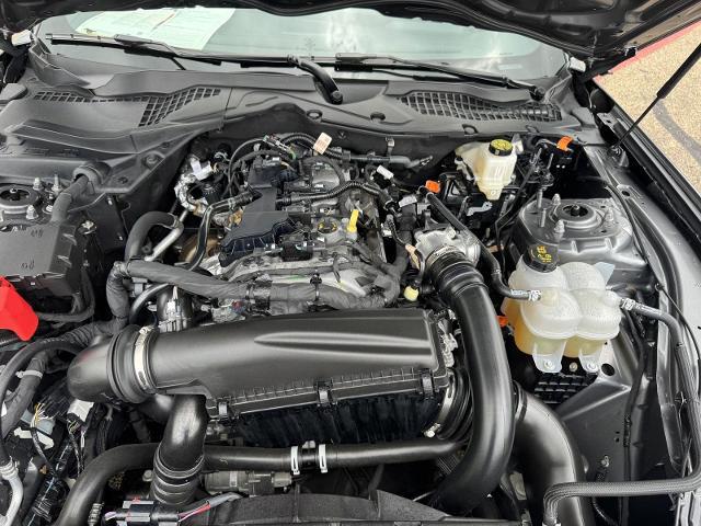 2025 Ford Mustang EcoBoost Premium Fastback