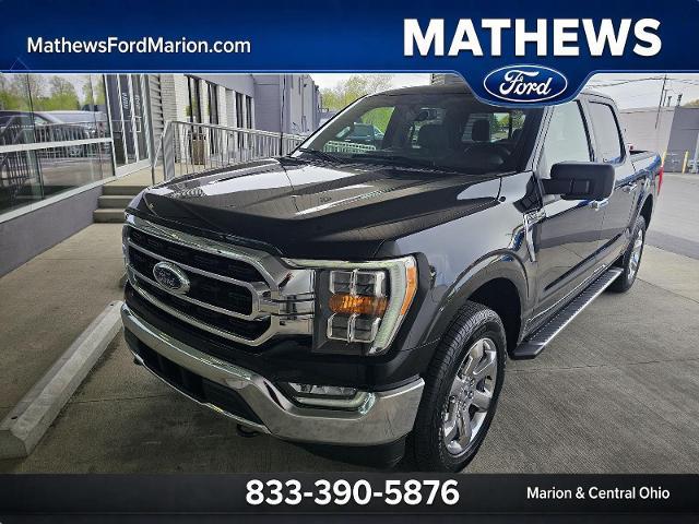 2023 Ford F-150 XLT for sale in Marion, OH