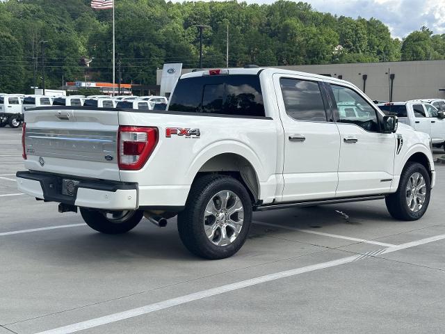 2022 Ford F-150 Platinum