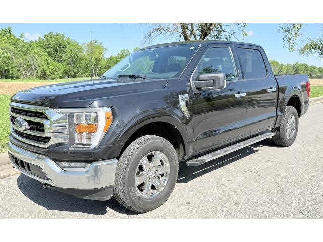 2023 Ford F-150 XLT for sale in Carbondale, IL