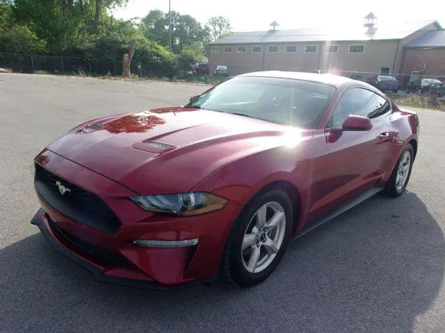 2019 Ford Mustang EcoBoost for sale in Louisville, KY