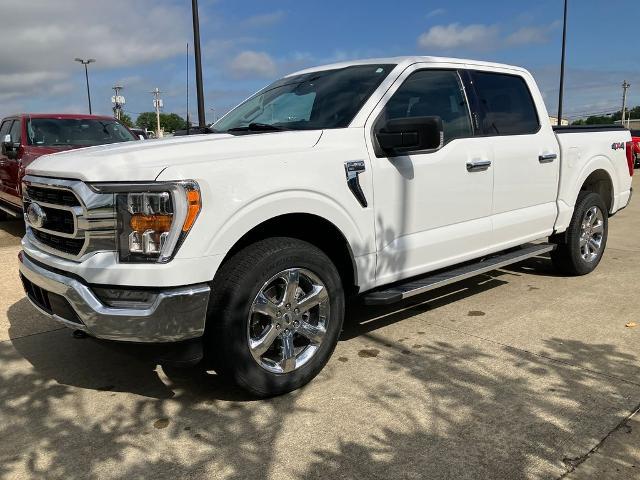 2023 Ford F-150 XLT for sale in Jasper, IN