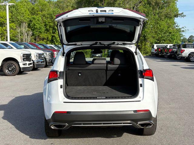2019 Lexus NX 300 F SPORT
